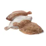 Flounder (Sole)
