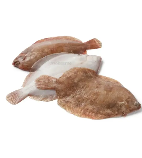 Flounder (Sole)