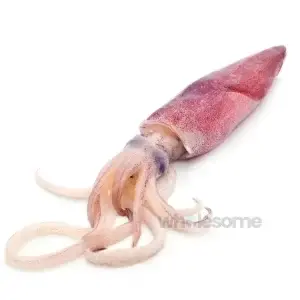 Specialty Seafood