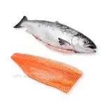 Norwegian Salmon