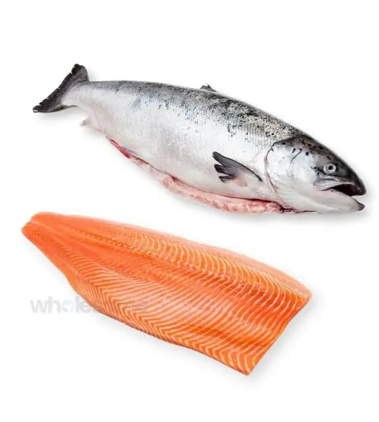 Norwegian Salmon